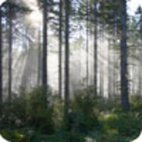 Southern Forests for the Future Southern Forests for the Future