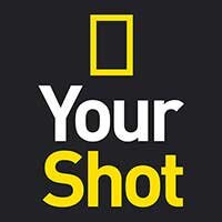 Your Shot